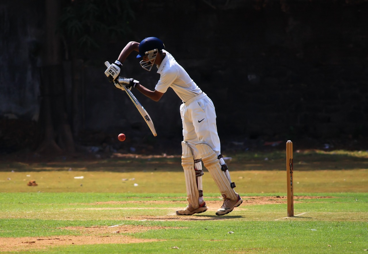 cricket, defense, batting-166904.jpg